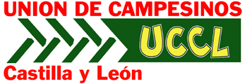 UCCL